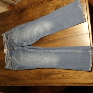 Aeropostale Chelsea bootcut